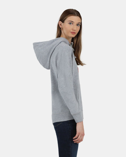 POLERON LEVIS GRAPHIC STANDARD