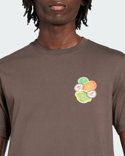 POLERA ADIDAS ORIGINALS GRAPHIC LO SS T