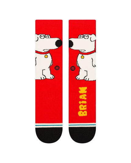 CALCETA STANCE THE DOG