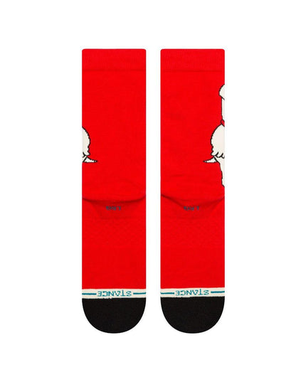 CALCETA STANCE THE DOG