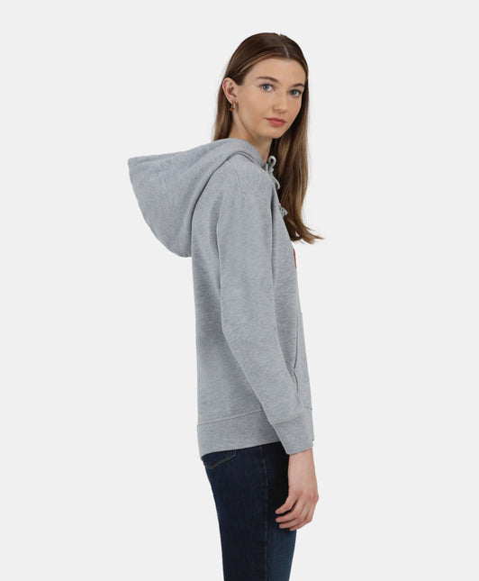 POLERON LEVIS GRAPHIC STANDARD