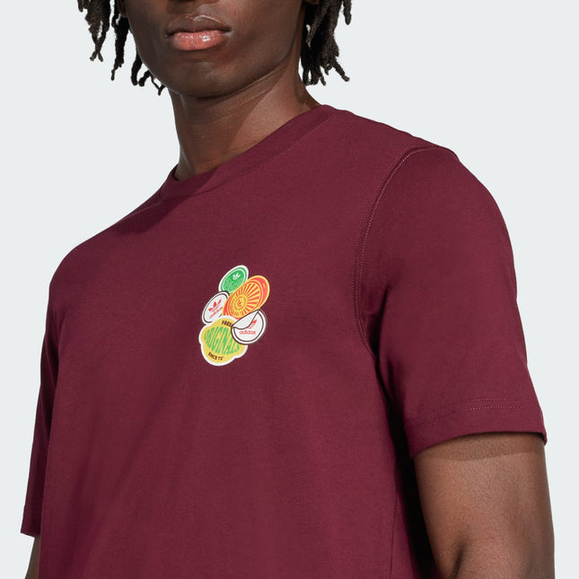 POLERA ADIDAS ORIGINALS GRAPHIC LO SS T