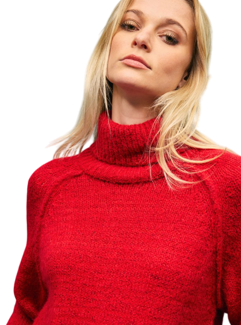 SWEATER FOSTER CUELLO ALTO