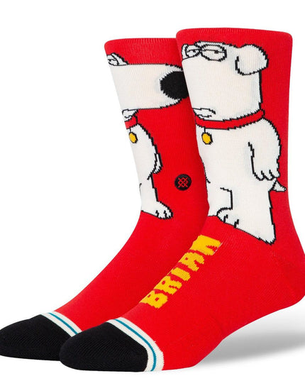CALCETA STANCE THE DOG
