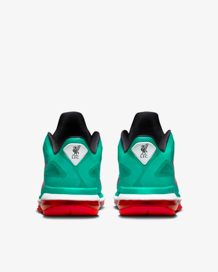 NIKE LEBRON IX LOW SHOE